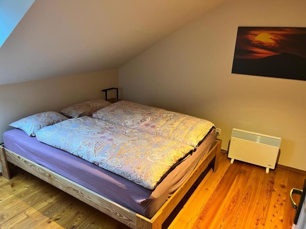 Duzy Apartament Duszniki-Zdroj Duszniki Zdrój Εξωτερικό φωτογραφία